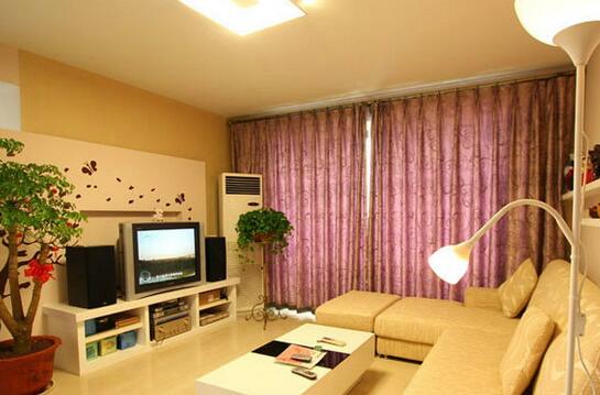 天津精品小戶型裝修，電視墻的設(shè)計要個性